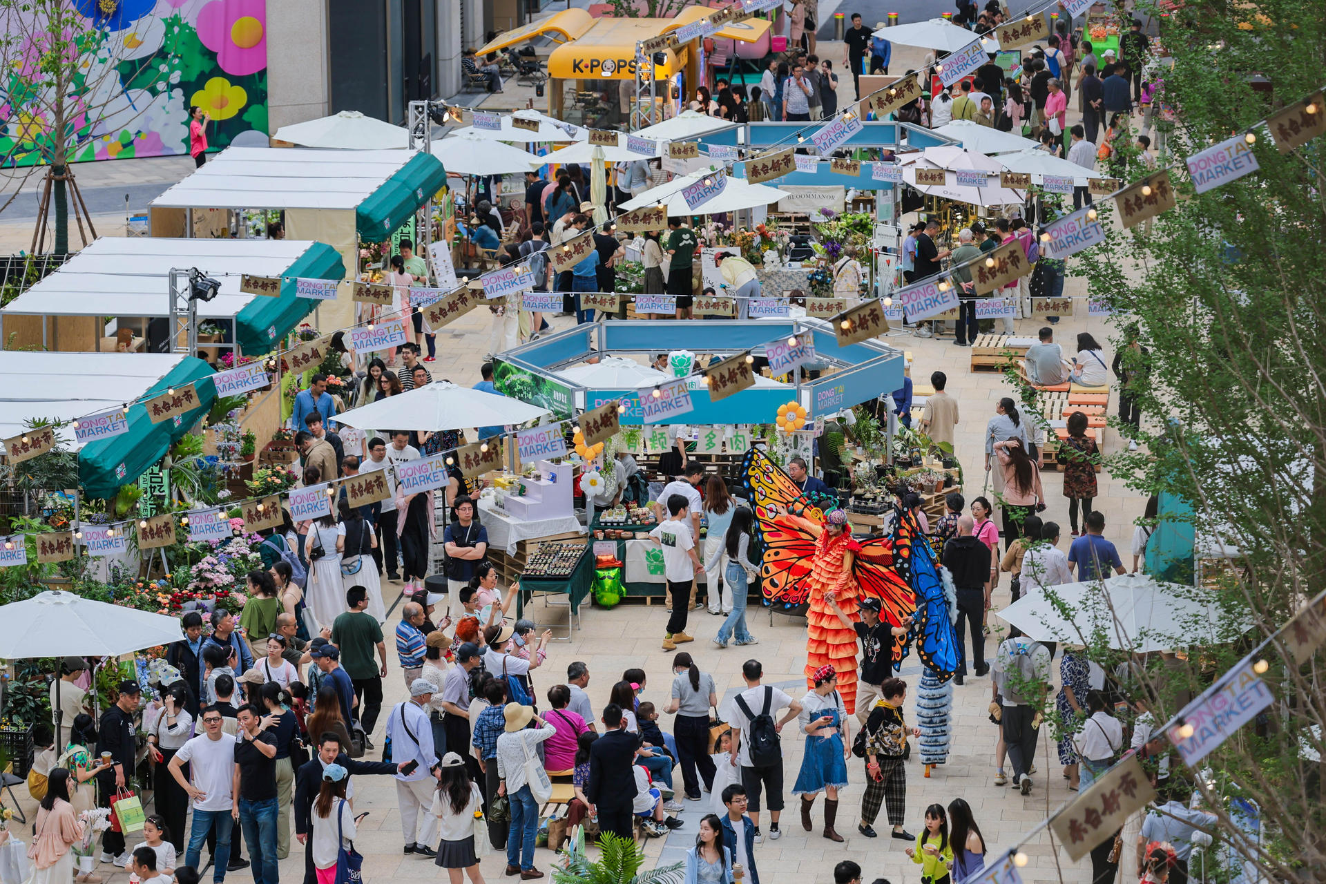 百年东台路在地新生，限时花市“五一”再续-9